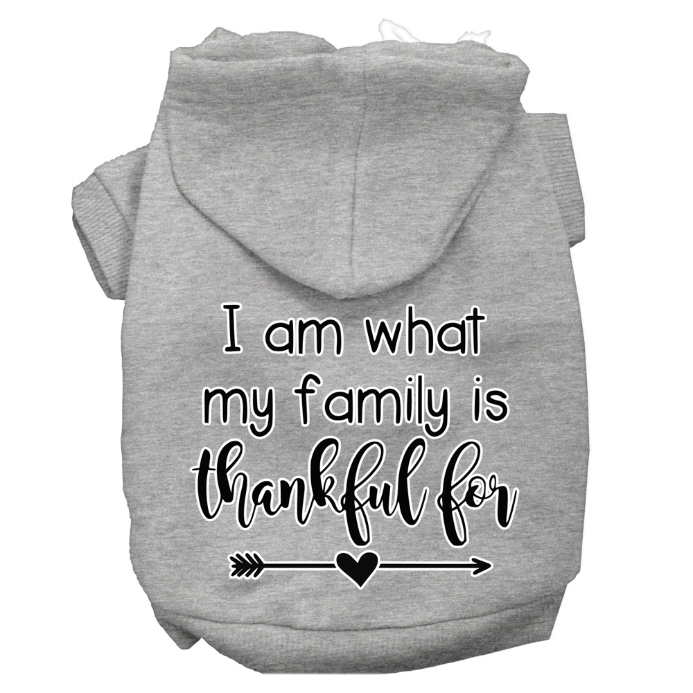 I Am What My Family is Thankful For Screen Print Dog Hoodie Grey XXL